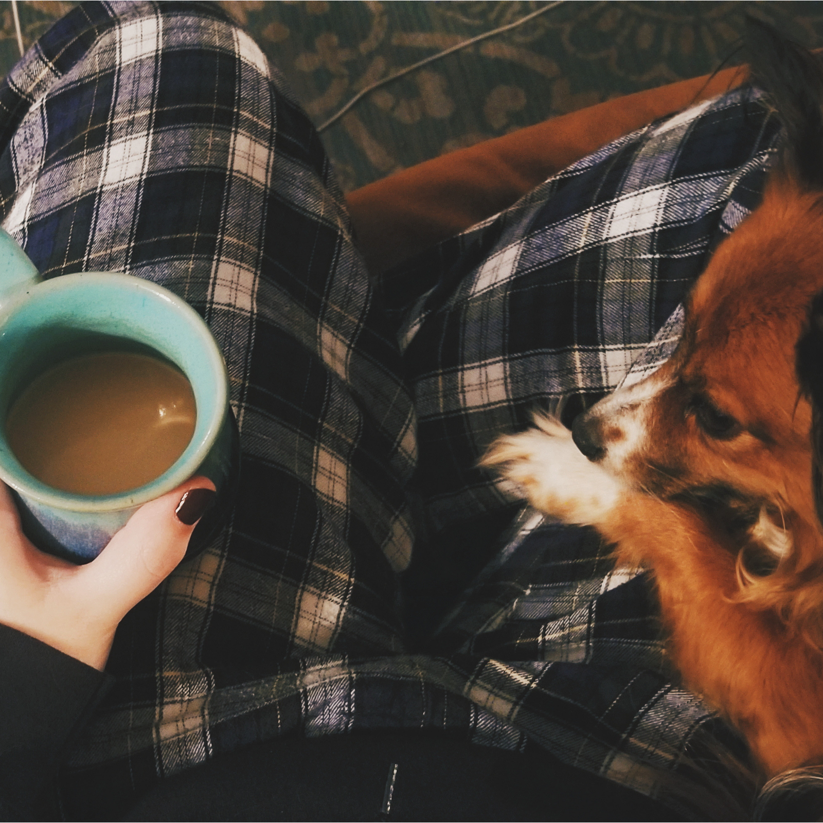 A down shot of a girl in pj pants holding a cup of coffee with a dog in her lap and a devotional book to her left while sitting on a couch