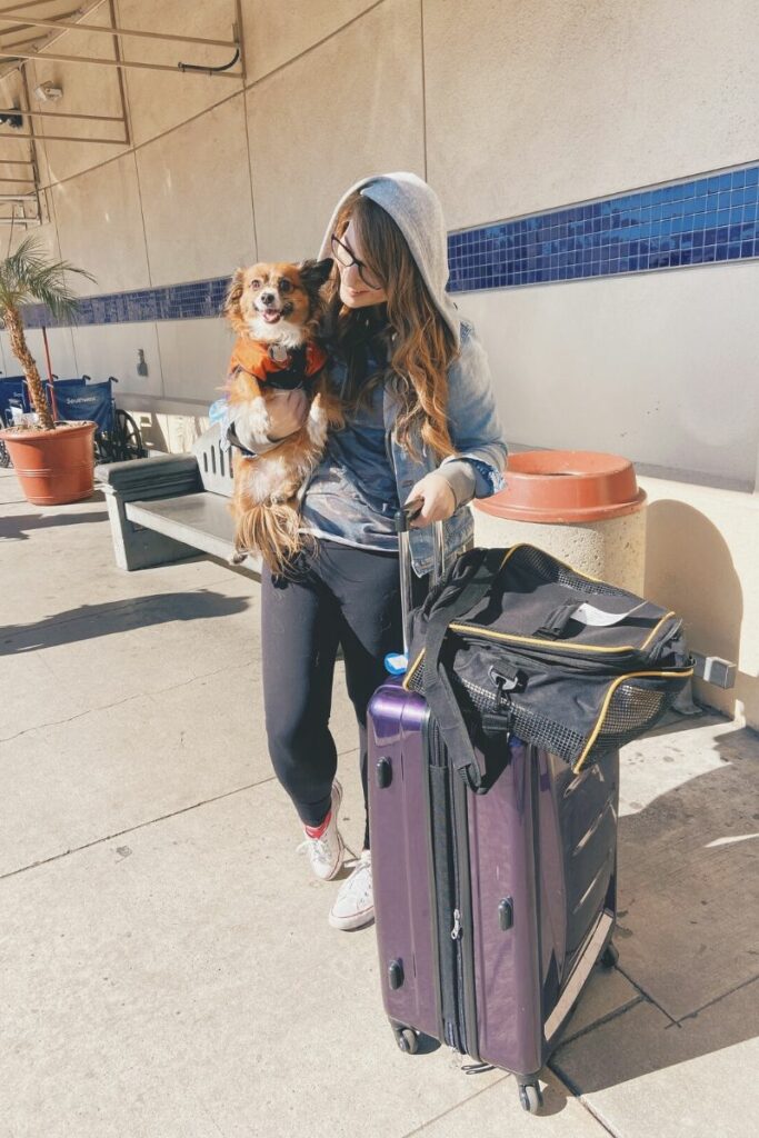 How to Travel With Your Dog by Scout and Bex