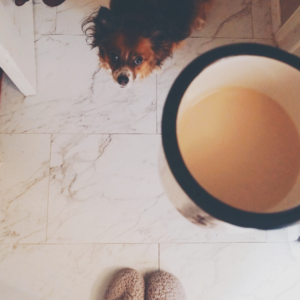 A girl's slippers, a cup of coffee, and a cute dog