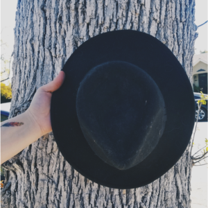 A black hat being held in front of a tree
