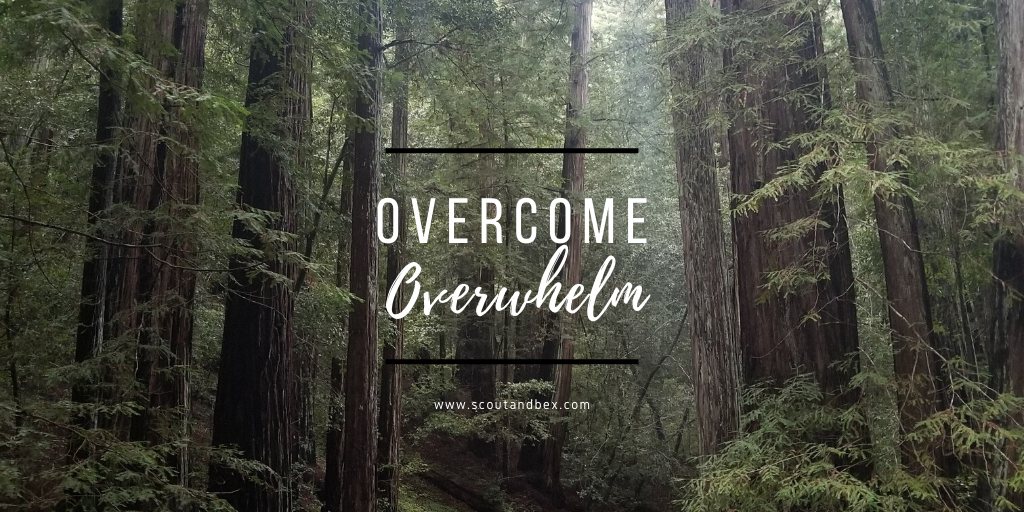 Overcome Overwhelm by Scout and Bex